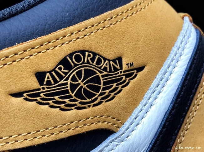 Jordan Year Retro OG Air of the Rookie 555088-700 High 1 0723